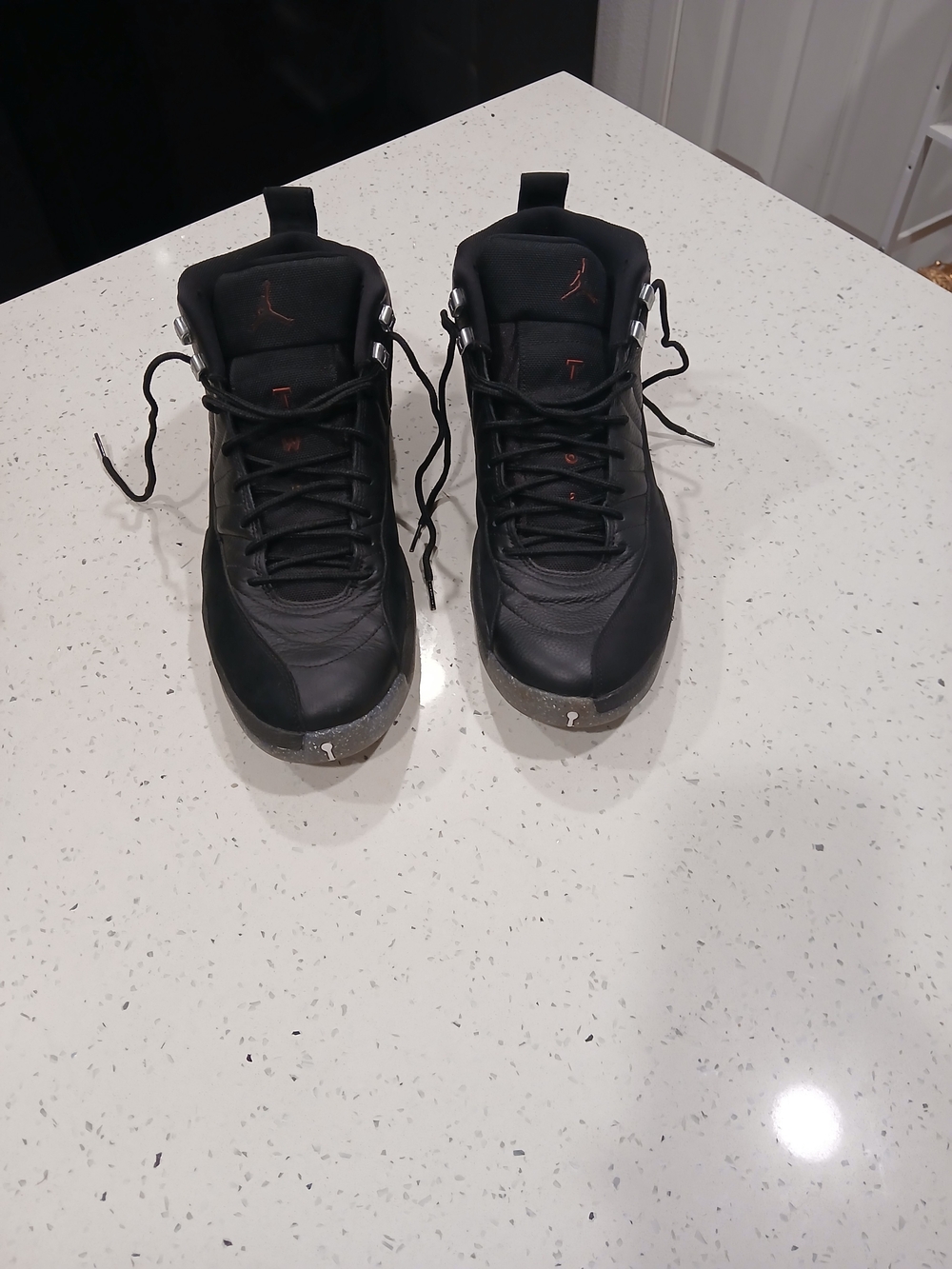Size 12 - Air Jordan 12 Utility Grind